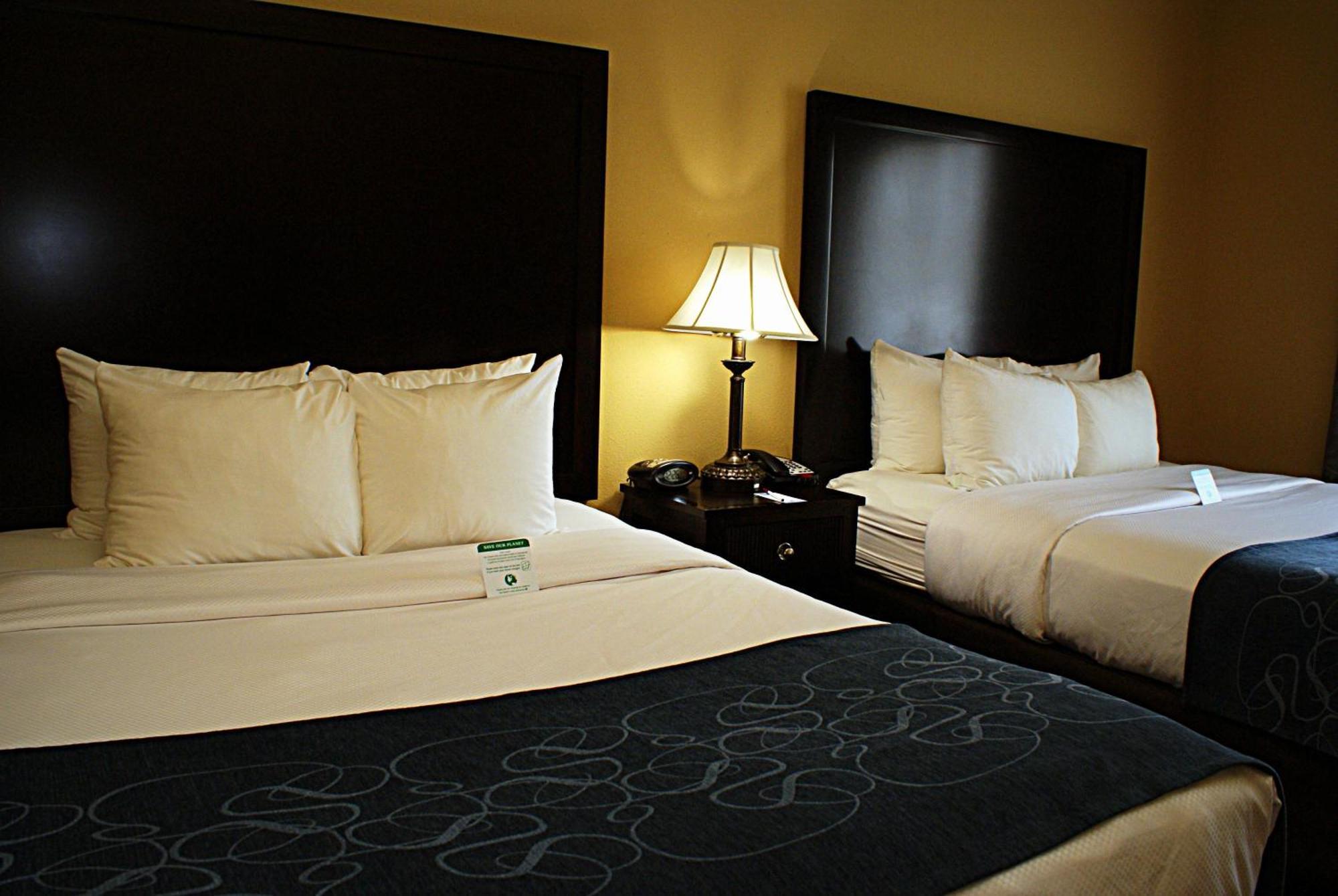 คอมฟอร์ต สวีท ฟริสโก Hotel ห้อง รูปภาพ